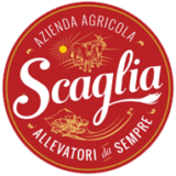 LOGO_SCAGLIA